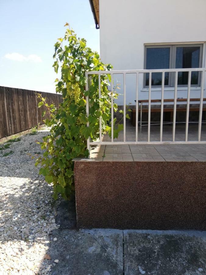 Vila Ekooos Braszów Zewnętrze zdjęcie