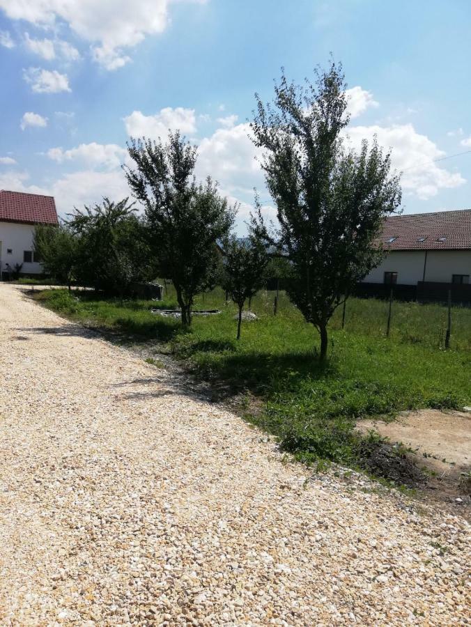 Vila Ekooos Braszów Zewnętrze zdjęcie